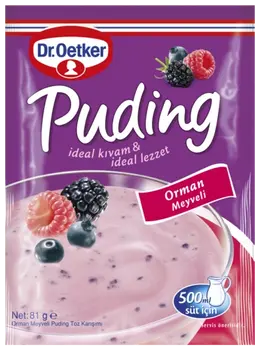 Dr. Oetker Puding Orman Meyveli