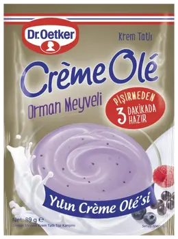 Dr. Oetker Crème Olé Orman Meyveli