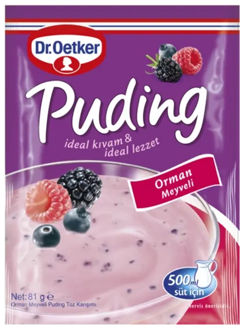 Dr. Oetker Puding Orman Meyveli